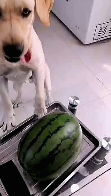 赵丽颖：从聚光灯下的璀璨到幕后生活的转变🤔